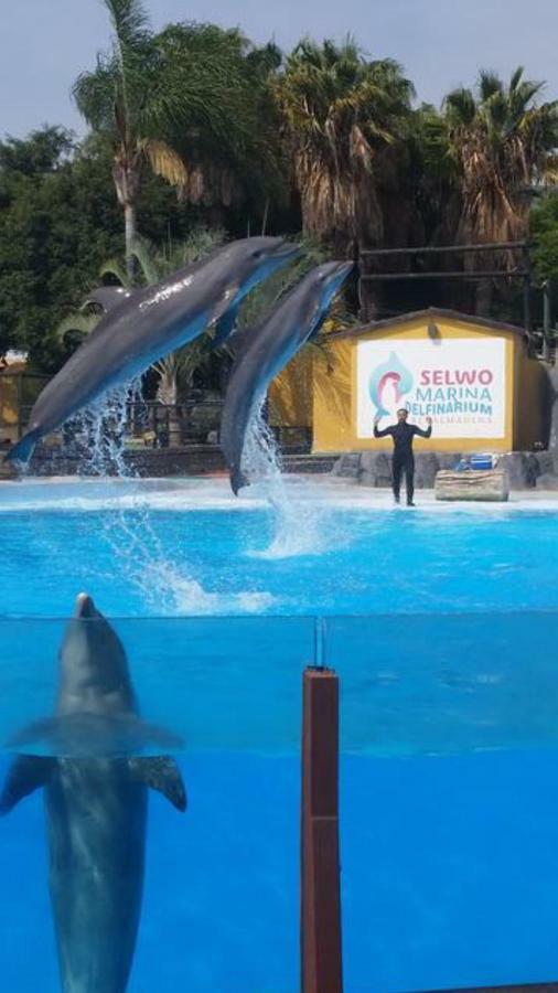 Minerva 242 Lägenhet Benalmádena Exteriör bild
